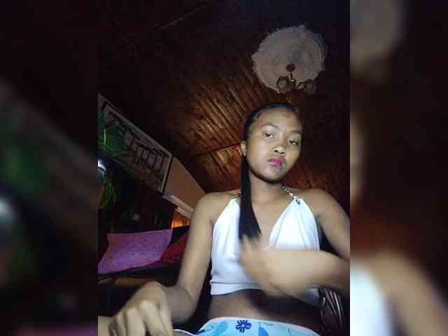 Stella11 webcam
