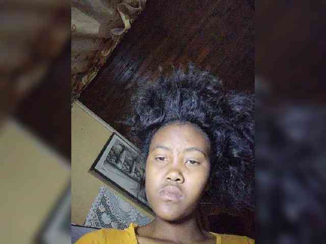 Stella11 webcam