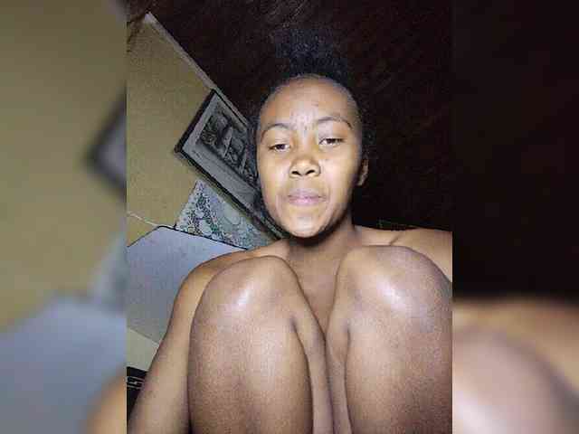 Stella11 webcam