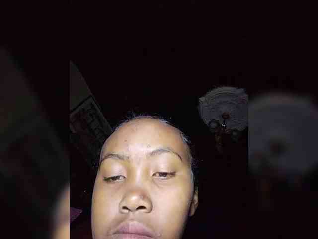 Stella11 webcam