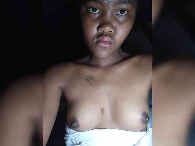Stella11 webcam