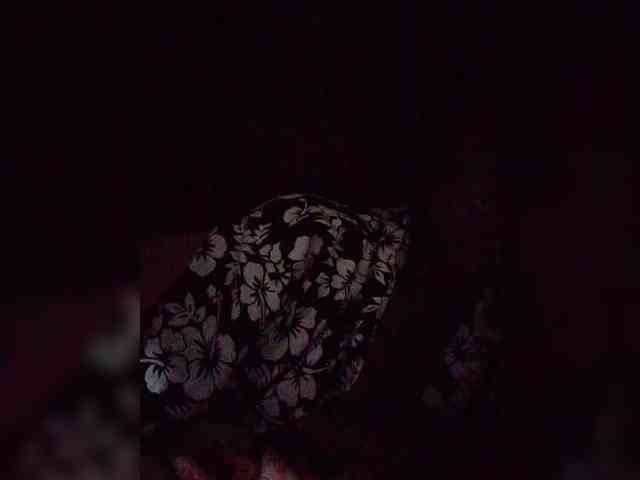 Stella11 webcam