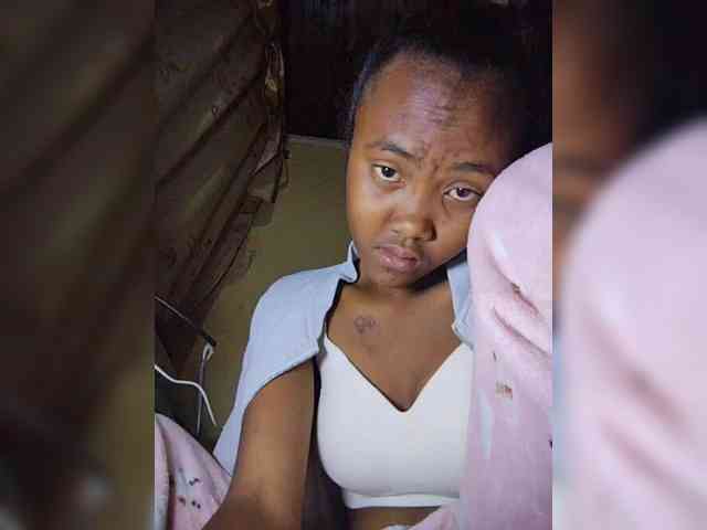 Stella11 webcam