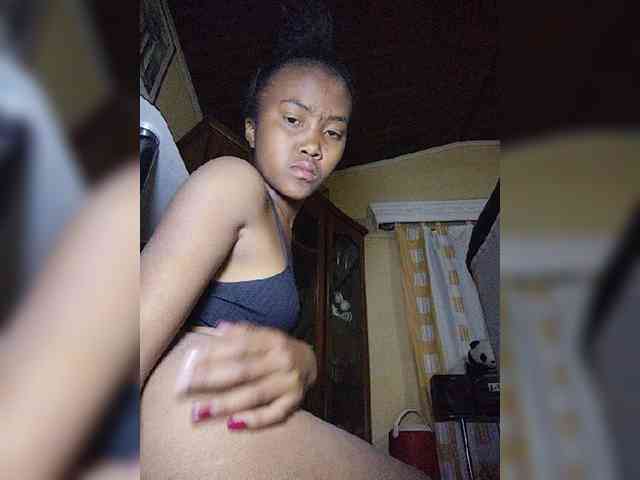 Stella11 webcam