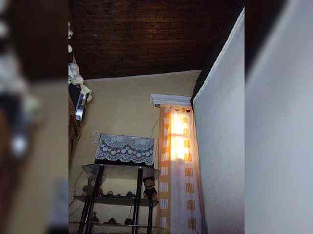 Stella11 webcam