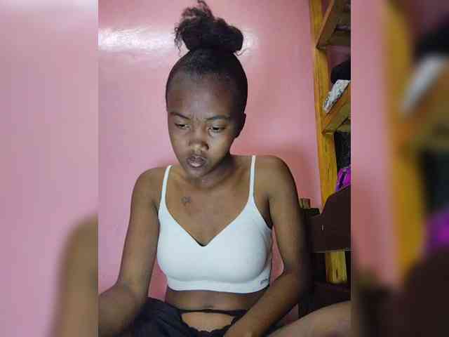 Stella11 webcam