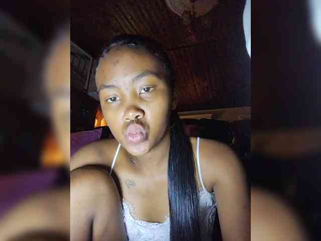 Stella11 webcam