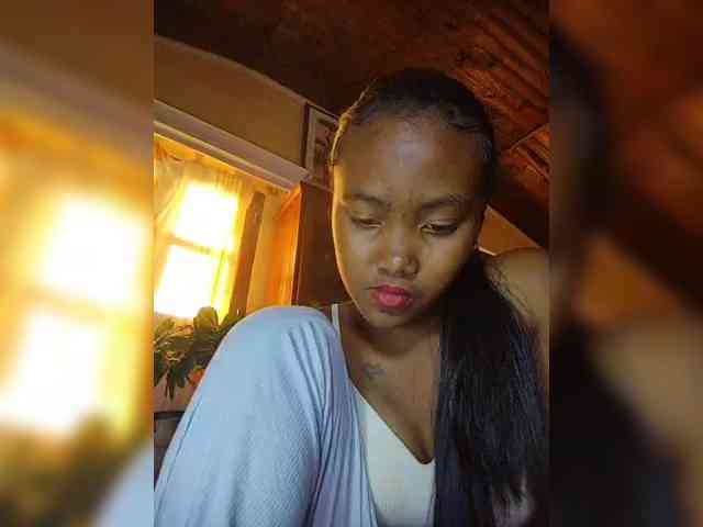 Stella11 webcam