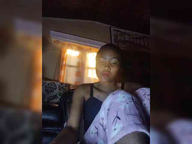 Stella11 webcam