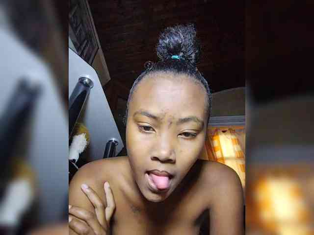 Stella11 webcam