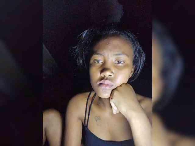 Stella11 webcam