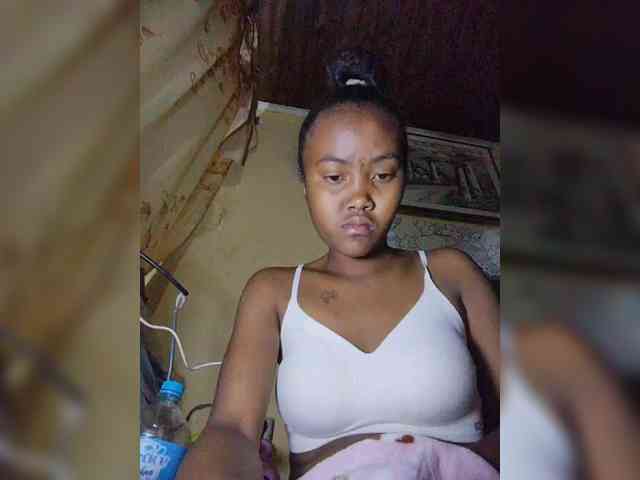 Stella11 webcam
