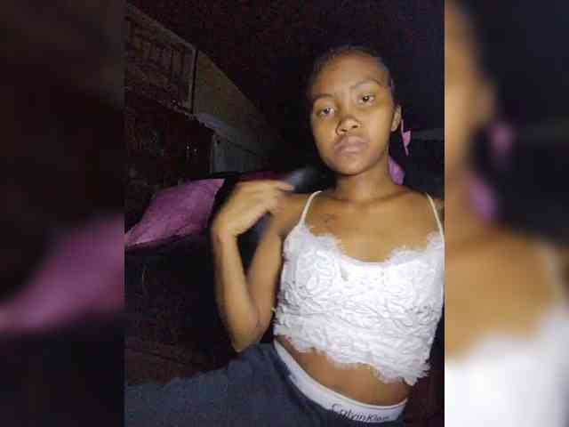 Stella11 webcam