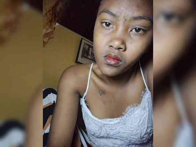 Stella11 webcam
