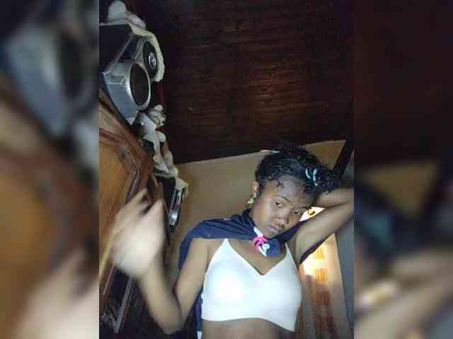 Stella11 webcam