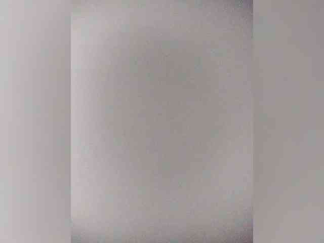 Stella11 webcam