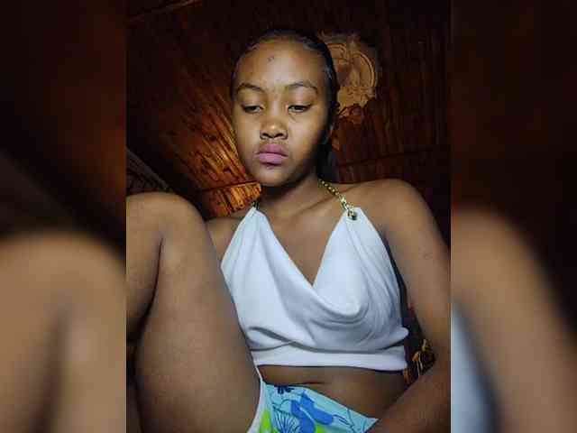 Stella11 webcam
