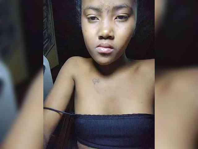 Stella11 webcam