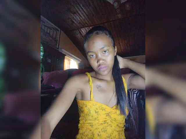 Stella11 webcam