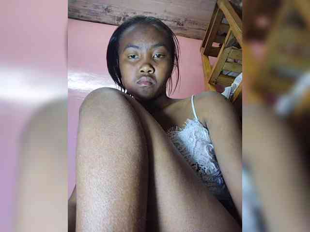 Stella11 webcam