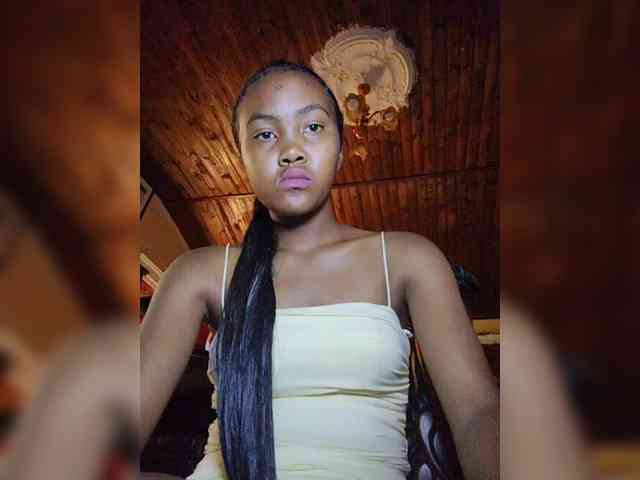 Stella11 webcam