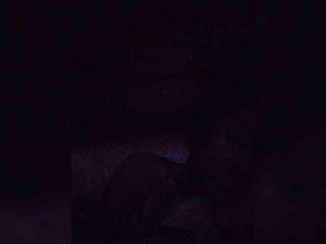 Stella11 webcam
