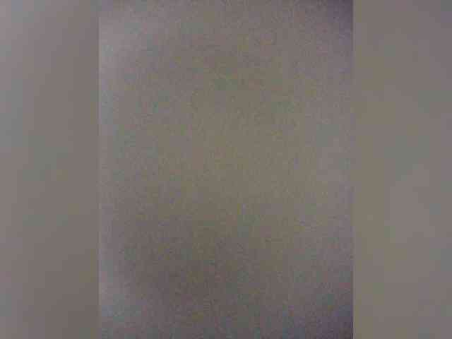 Stella11 webcam