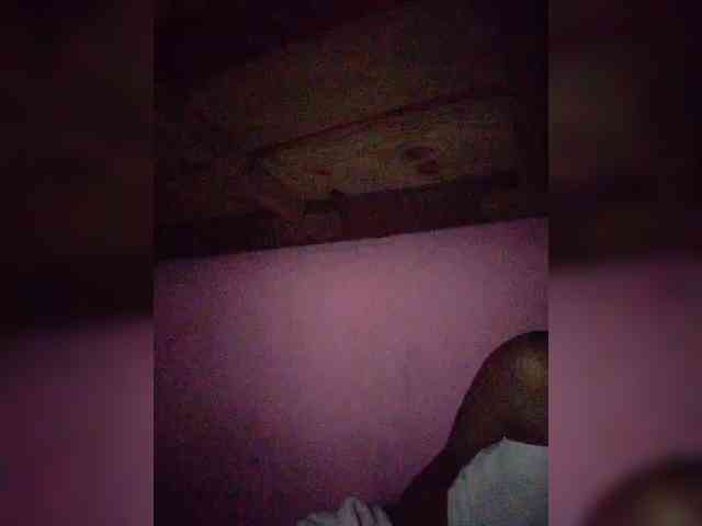Stella11 webcam