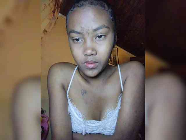 Stella11 webcam