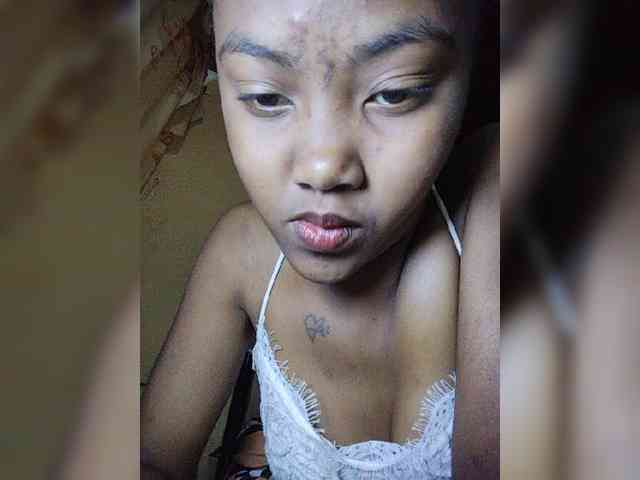 Stella11 webcam