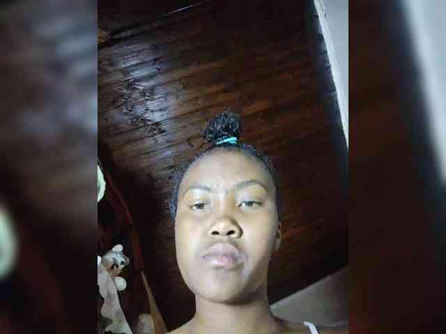 Stella11 webcam