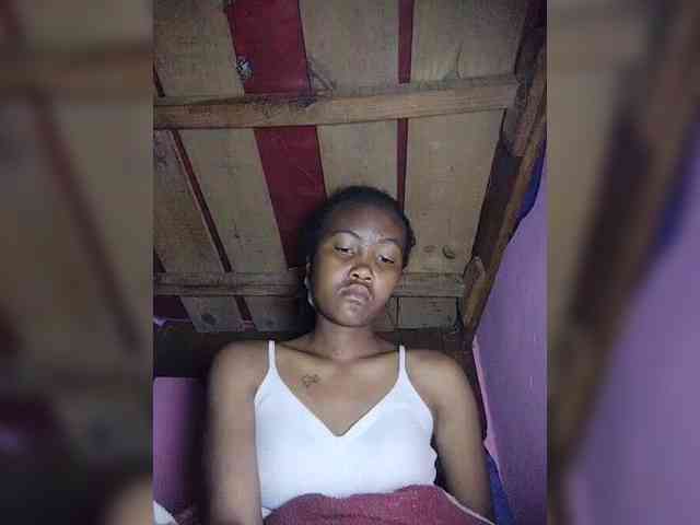 Stella11 webcam