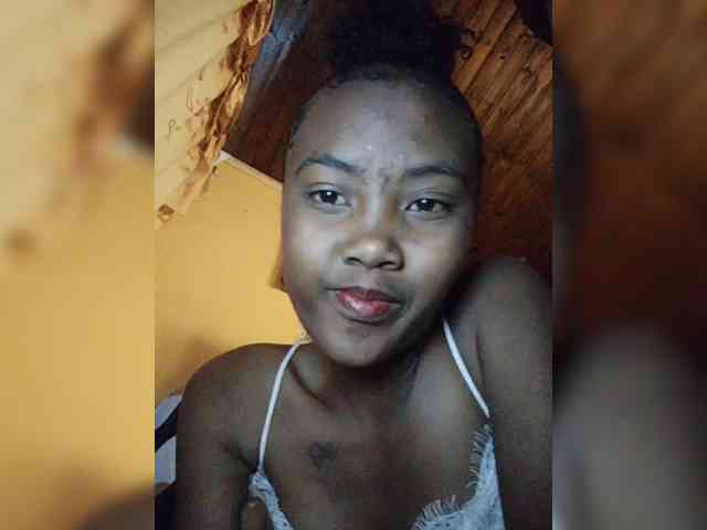 Stella11 webcam