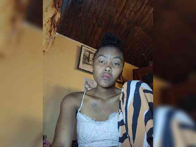 Stella11 webcam