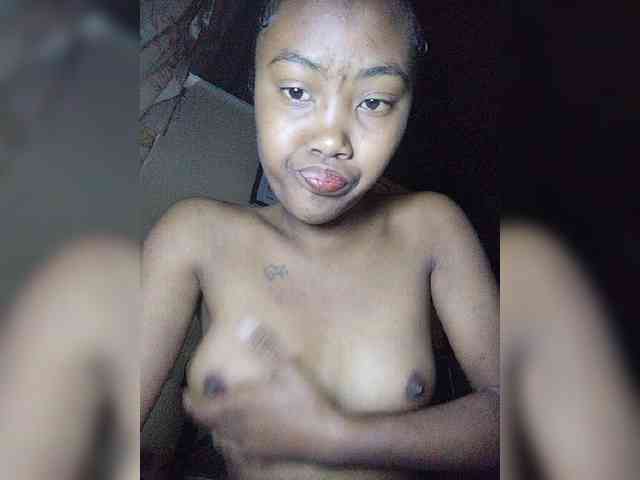 Stella11 webcam