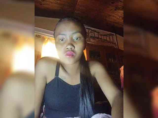 Stella11 webcam