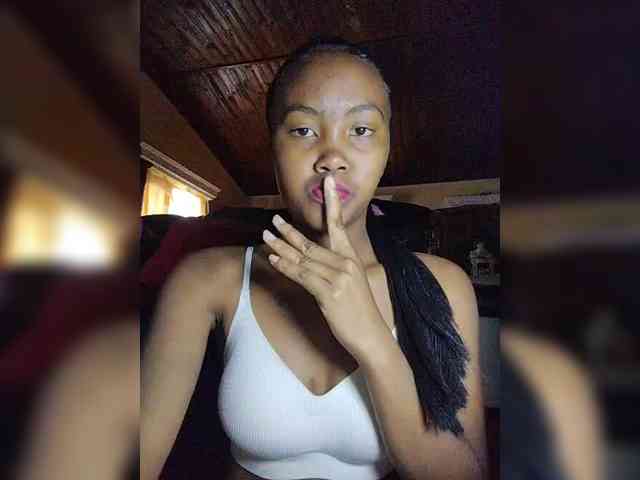 Stella11 webcam