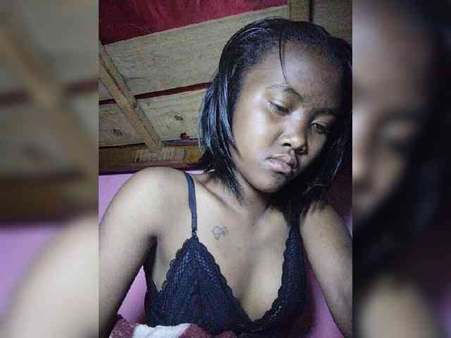 Stella11 webcam