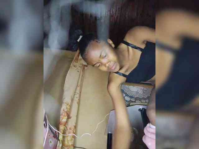 Stella11 webcam