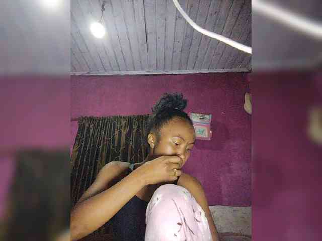 Stella11 webcam