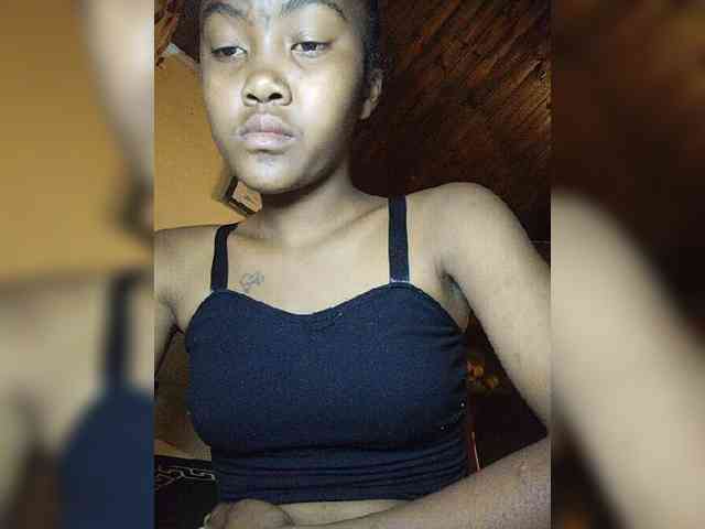 Stella11 webcam