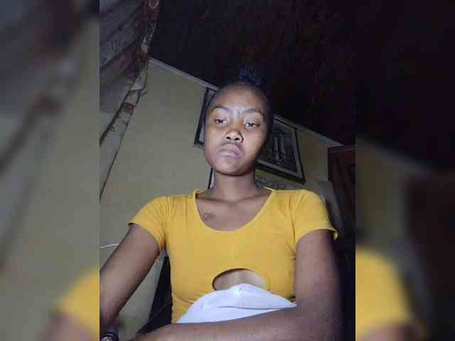 Stella11 webcam