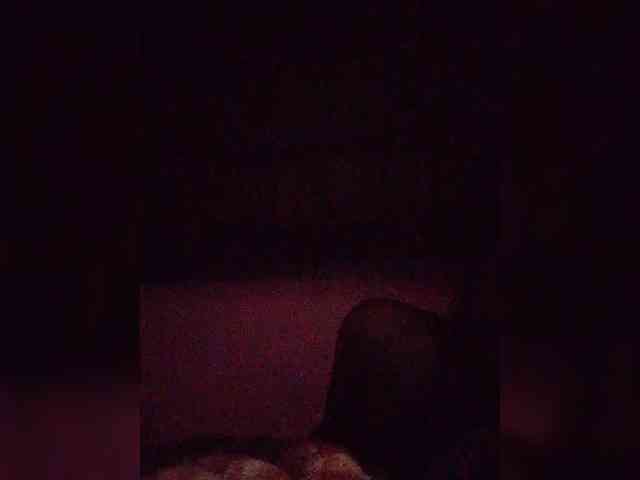 Stella11 webcam