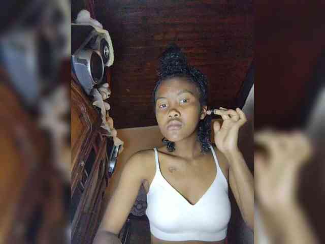 Stella11 webcam