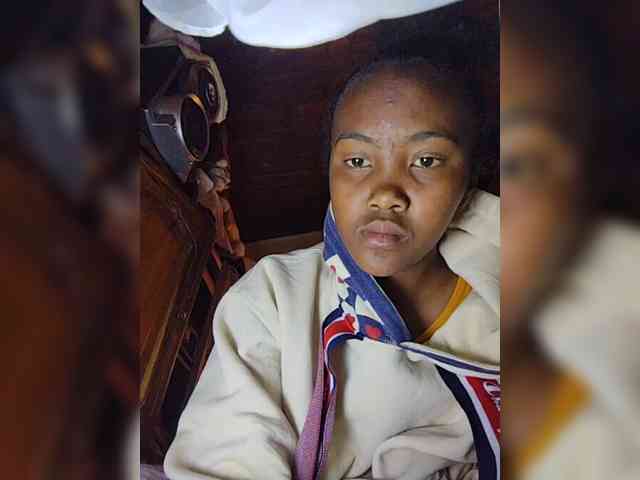 Stella11 webcam