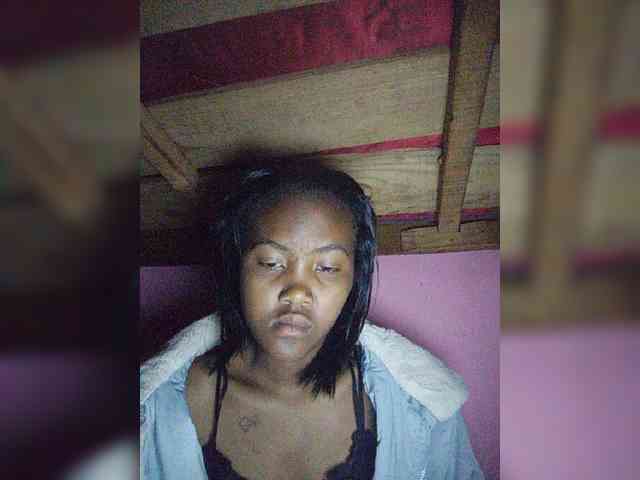 Stella11 webcam