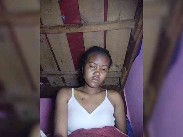 Stella11 webcam