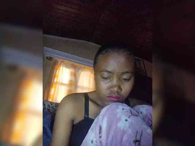 Stella11 webcam