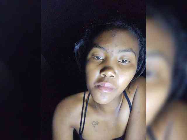 Stella11 webcam