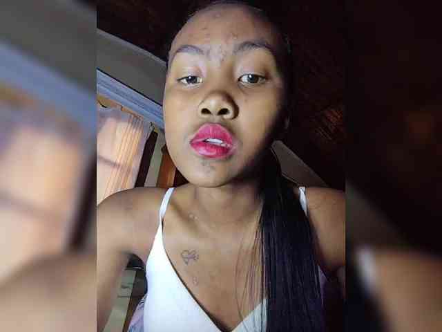 Stella11 webcam